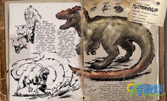 国产暴龙测评视频大全,全方位解析热门视频大全