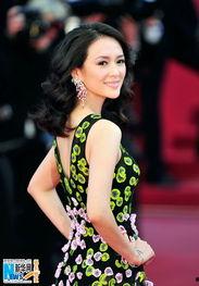 电影解说国产章子怡视频