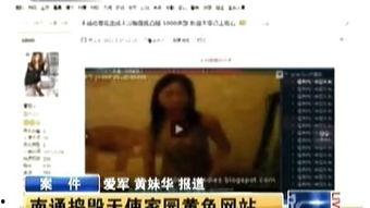很黄很色的视频国产,从“很黄很色”视频看网络内容监管与传播